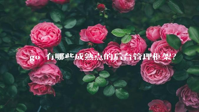 go 有哪些成熟点的后台管理框架？