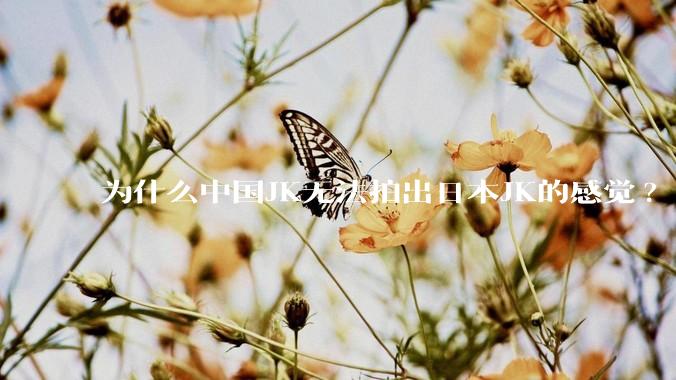 为什么中国JK无法拍出日本JK的感觉?